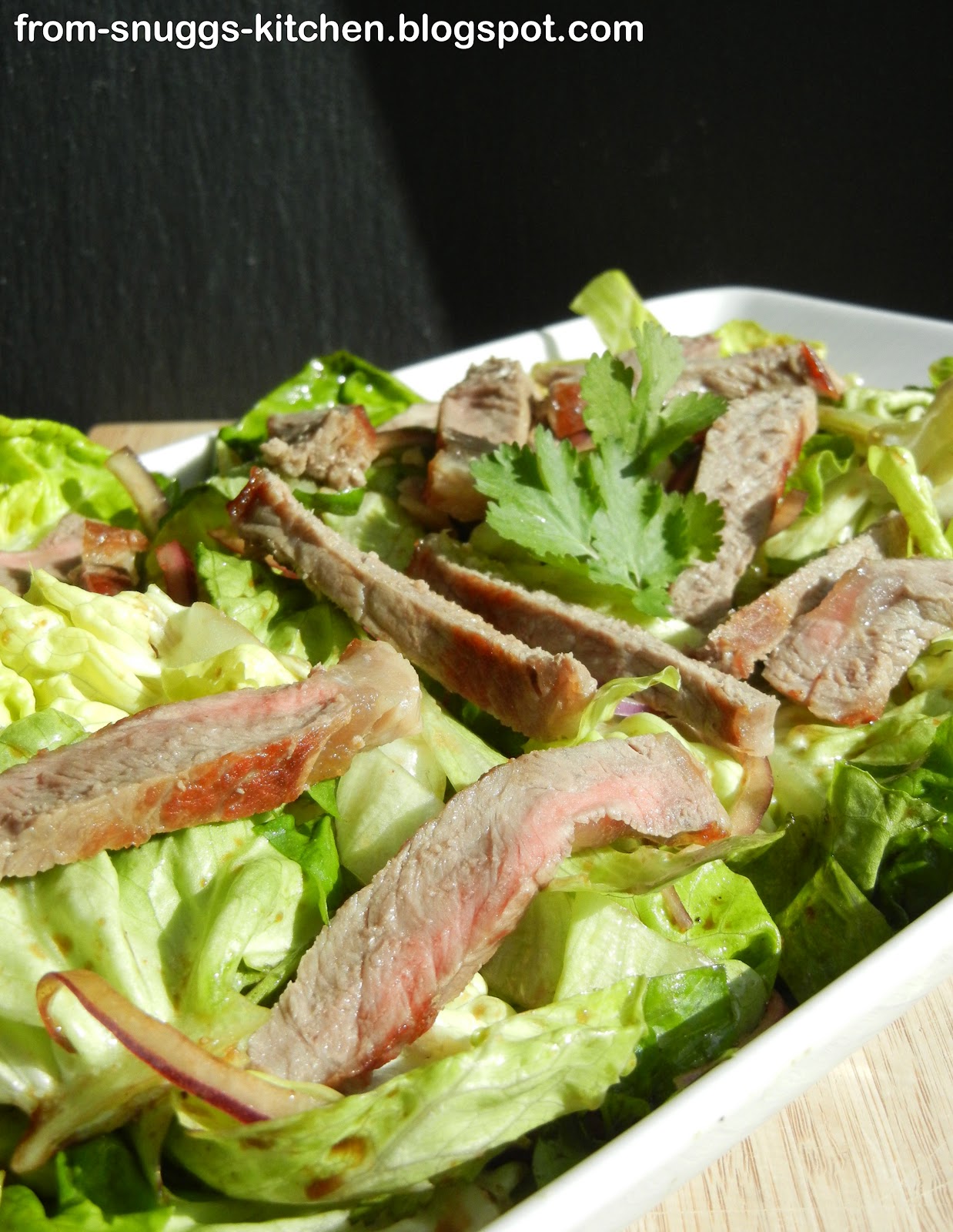 Thai-Steak-Salat - From-Snuggs-Kitchen