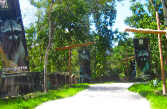 Zoo en Riesgo; inminente desaparición del Biouniverzoo de Chetumal; SEMARNAT a punto de cancelar permisos