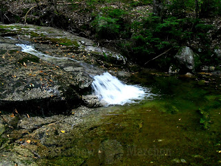 Ledge Brook, Kancamagus Highway NH