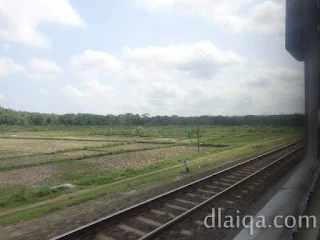 pemandangan sawah (2)