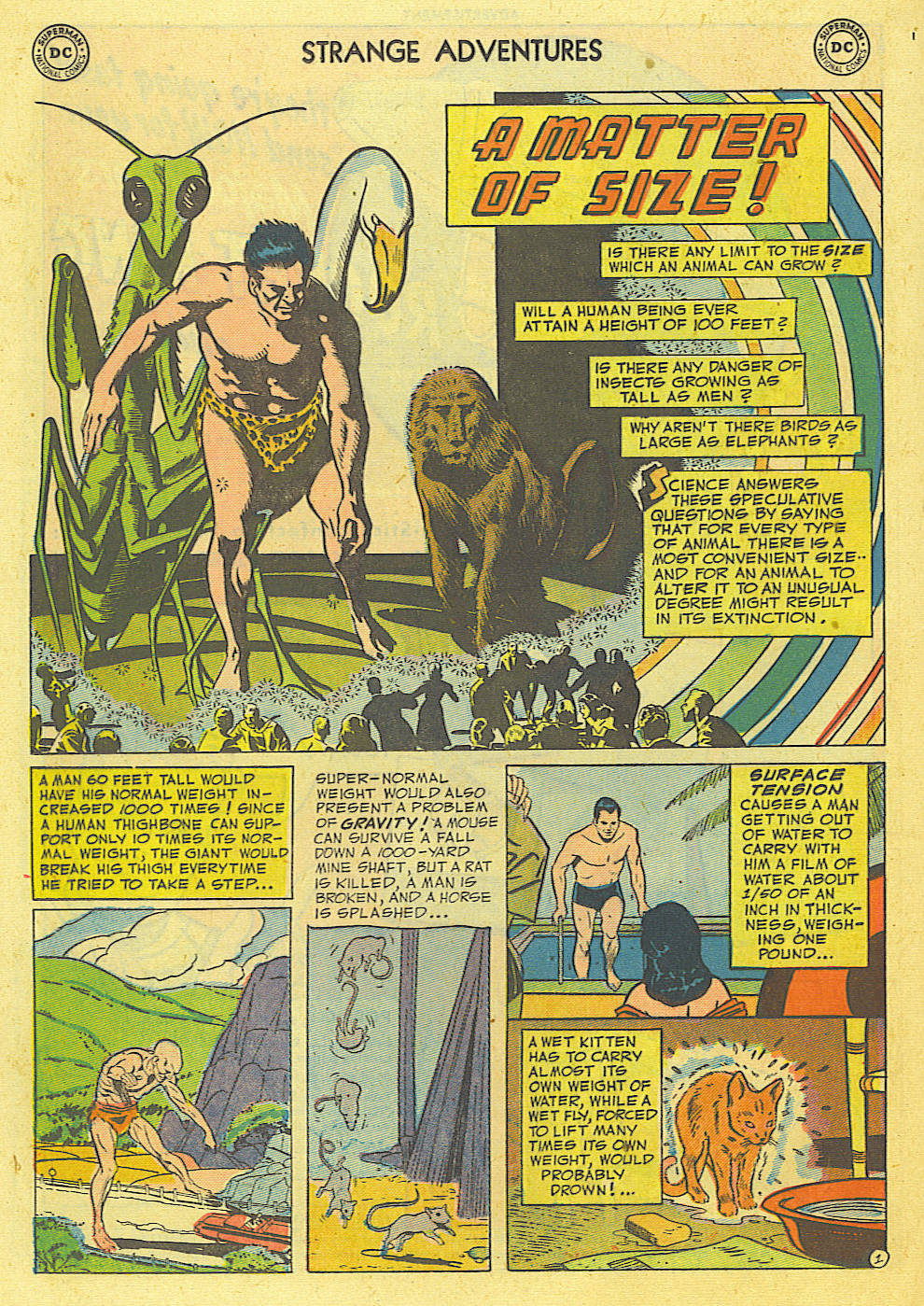 Read online Strange Adventures (1950) comic -  Issue #22 - 20