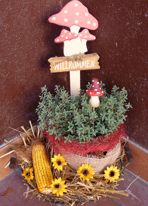 NatürlichKreativ: Herbst- Deko