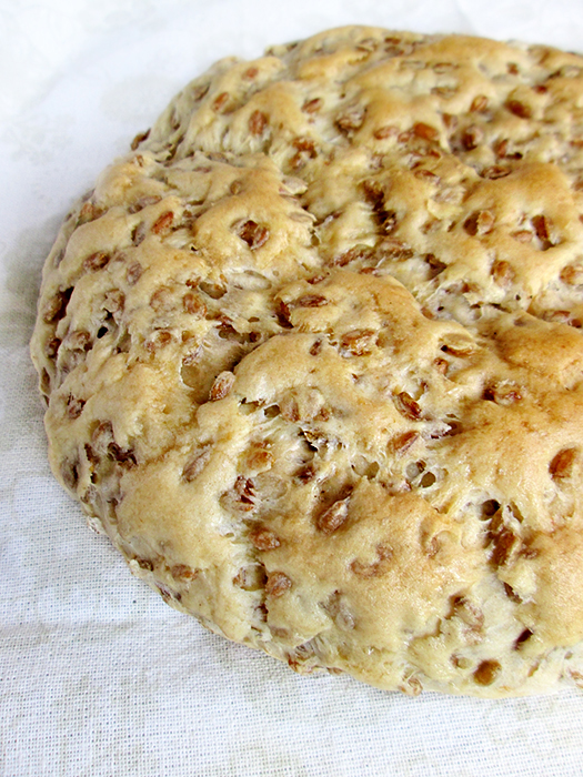Rustic rye berry bread loaf recipe tinascookings.blogspot.com
