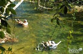 7-Day Placencia Activities Guide — Best Vacation Ever! 10 Remaxvipbelize: sweet hour long ride through the jungle