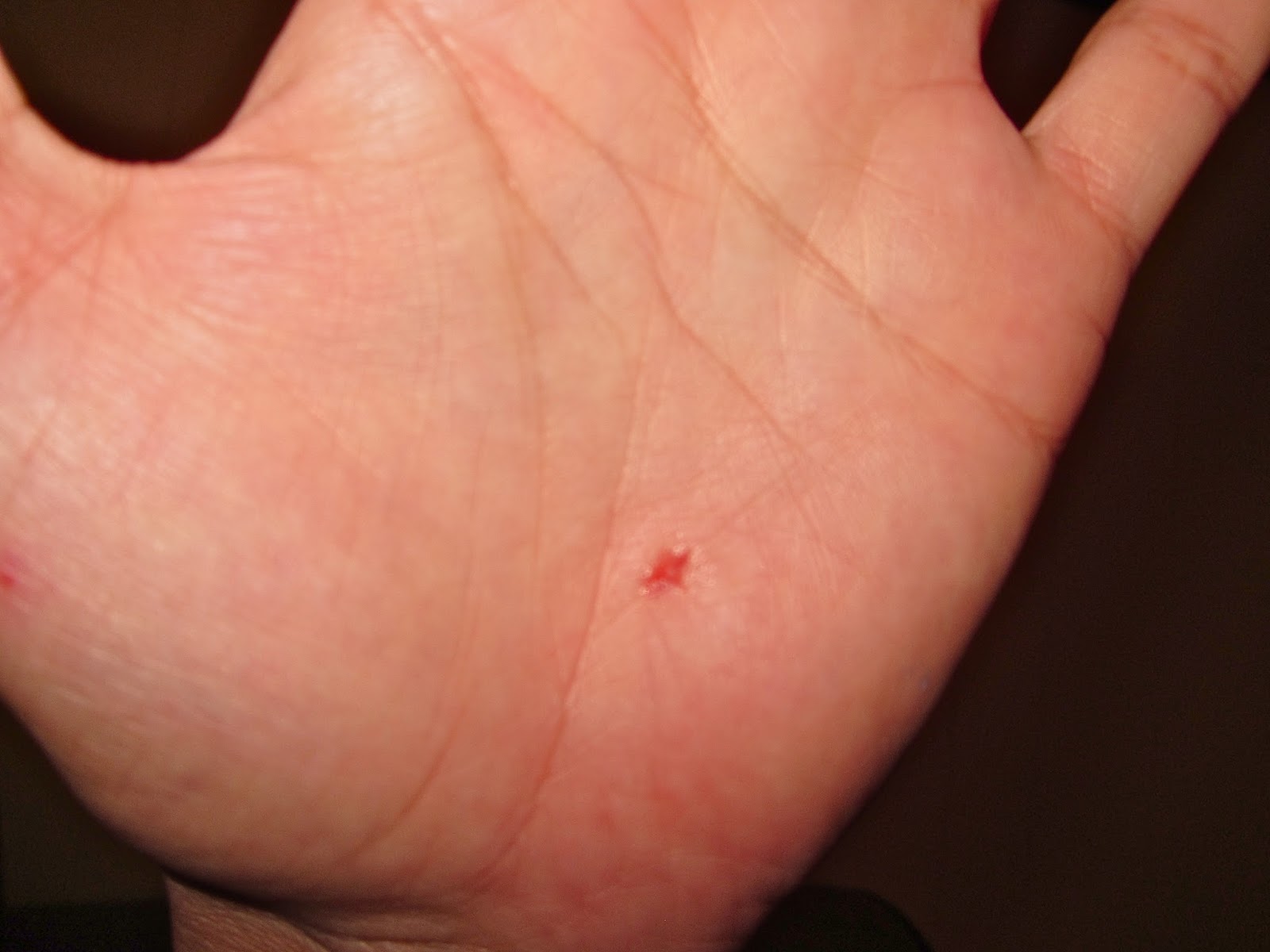  return of light August 2013