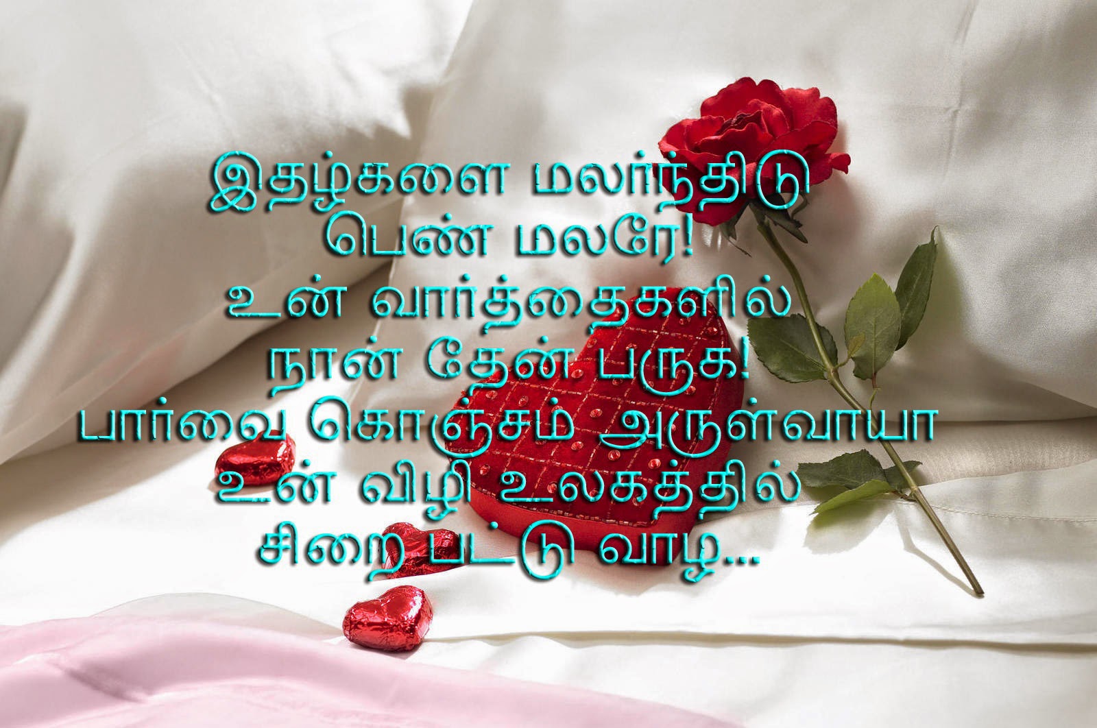 Cute Love Poems in Tamil With Picture Wallpaper Quotes Wallpapers