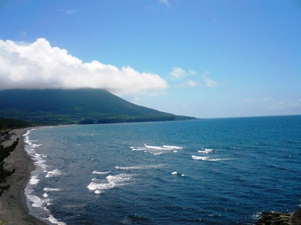 奇妙で珍しい花 - ワックスフラワー(ホヤワックス)