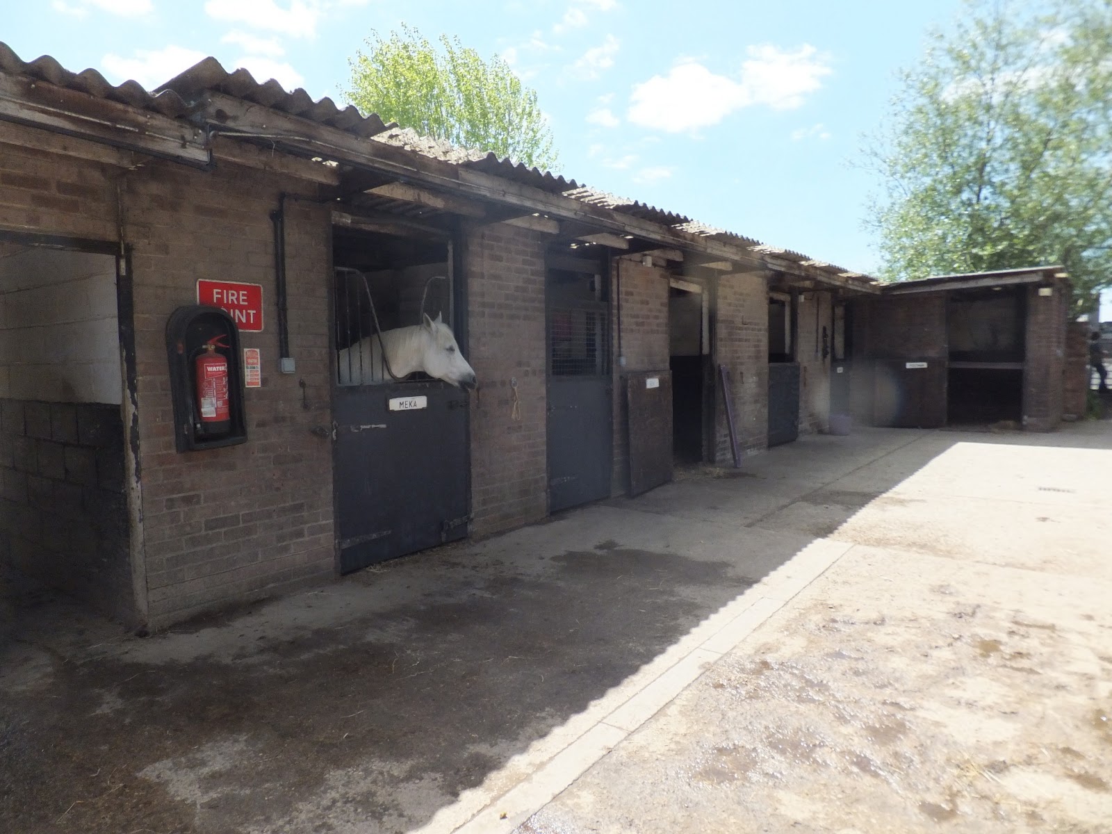 Willowbrook Riding Centre Horse Riding School