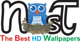 The Best HD Wallpapers Nest