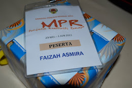 MPR 2011