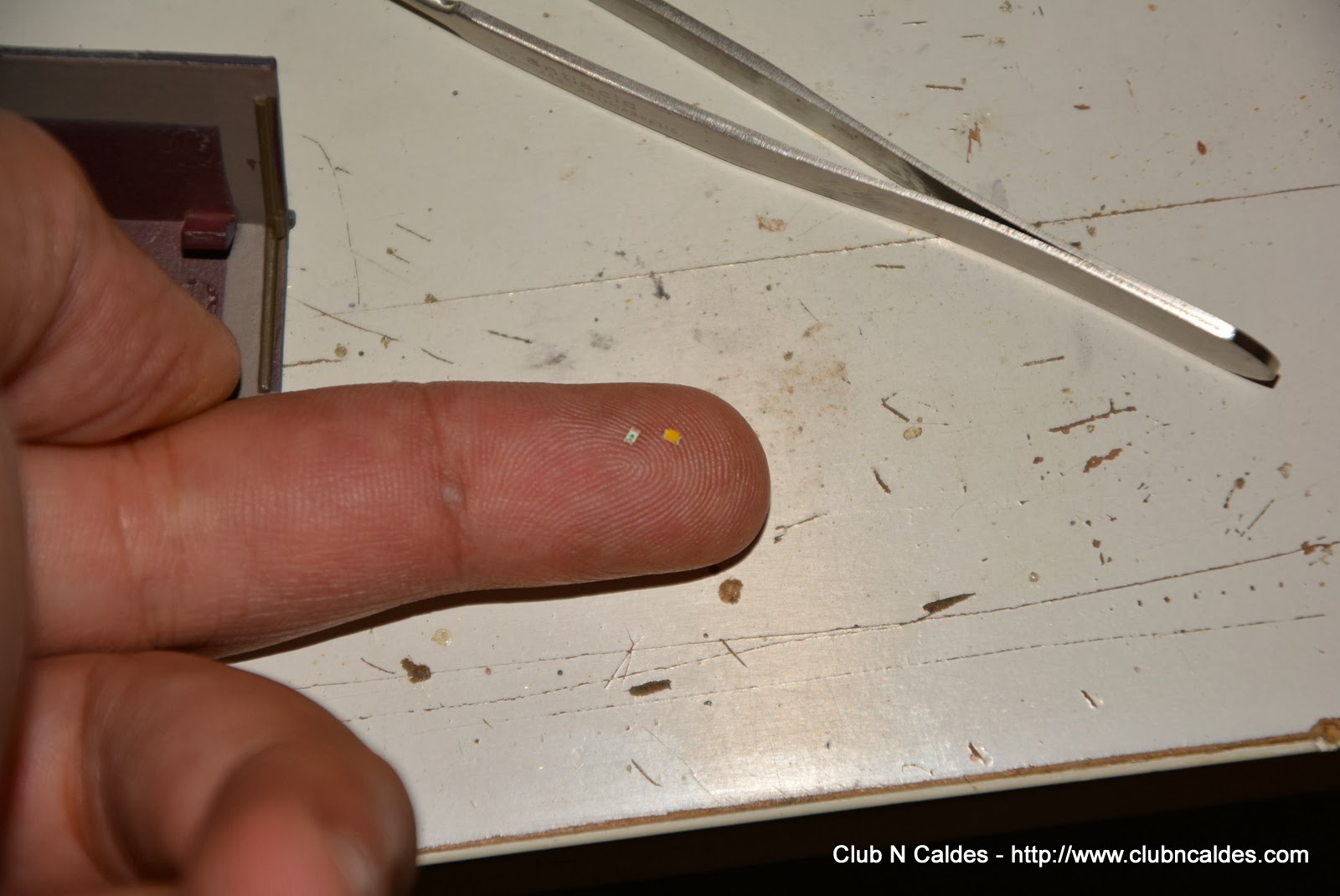 Pinworms On Toilet Paper