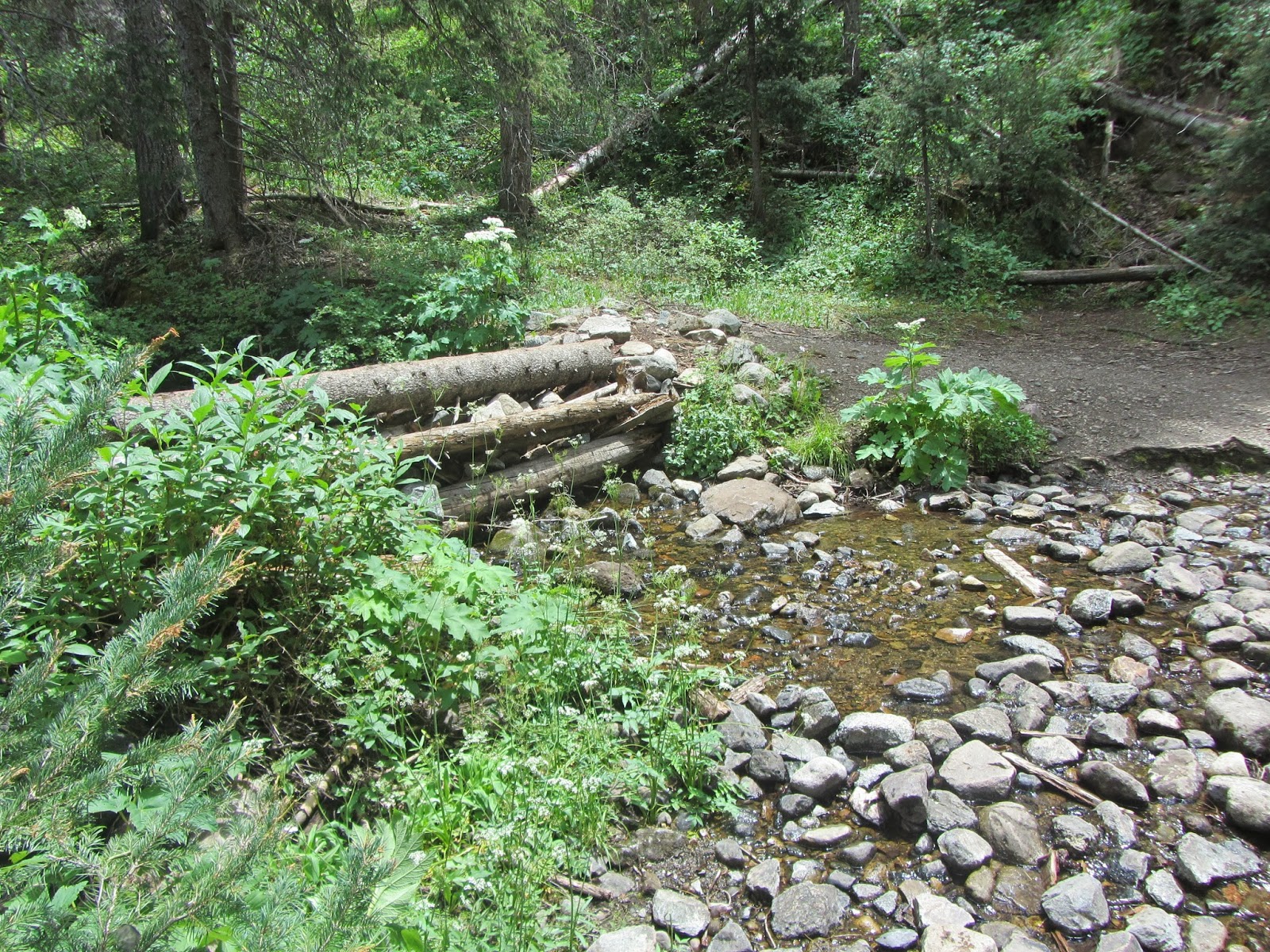 New Mexico Camping Horseshoe Lake & Lost Lake (Wheeler Peak Wilderness