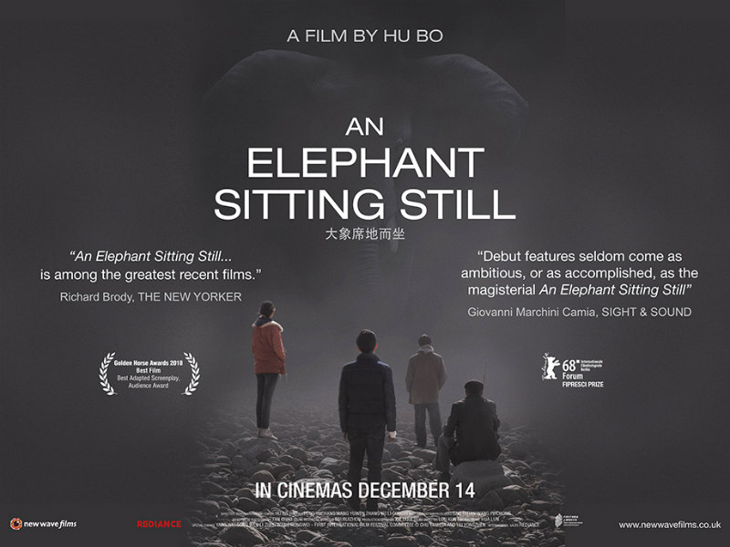 An Elephant Sitting Still poster