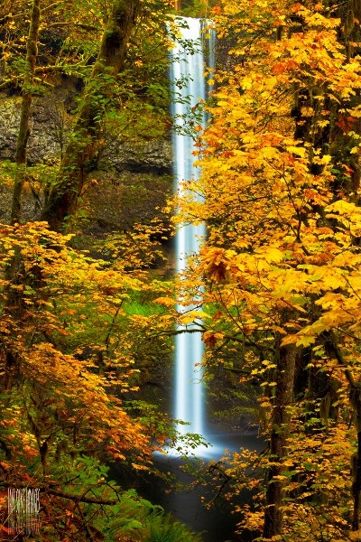 Cascadas Sur, Parque Nacional Silver Falls, Oregon