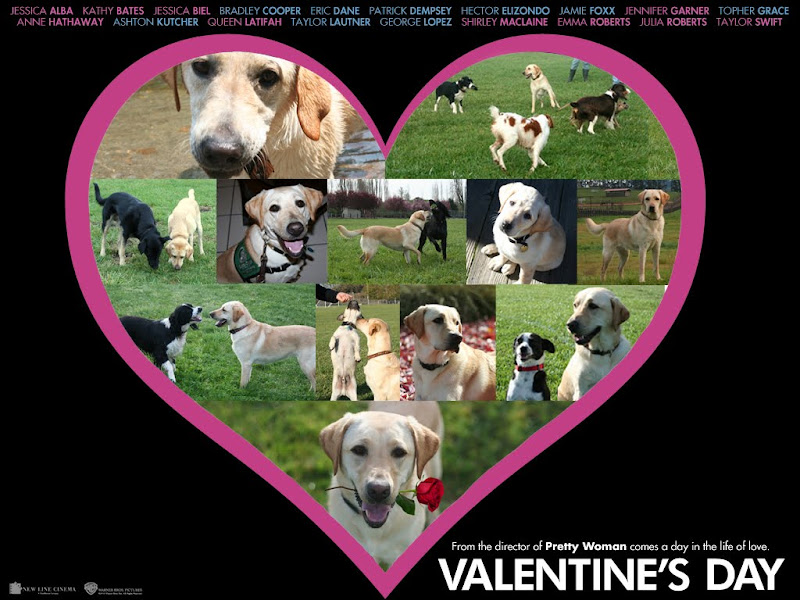 movie poster for the movie Valentines Day, but the celebrity photos have been removed, and there are pictures of Cabana and her friends instead