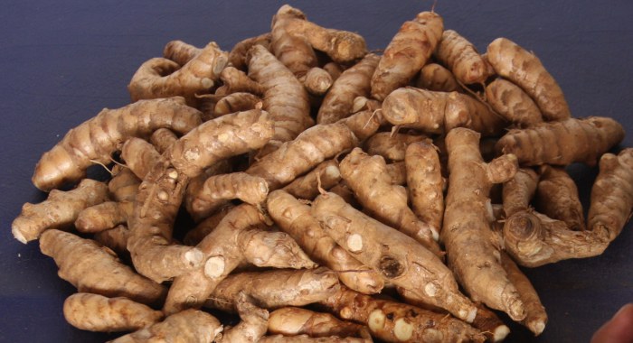 Rizomas de M. arundinacea (Siempredulces) - Fotografía tomada de iwnsvg.com