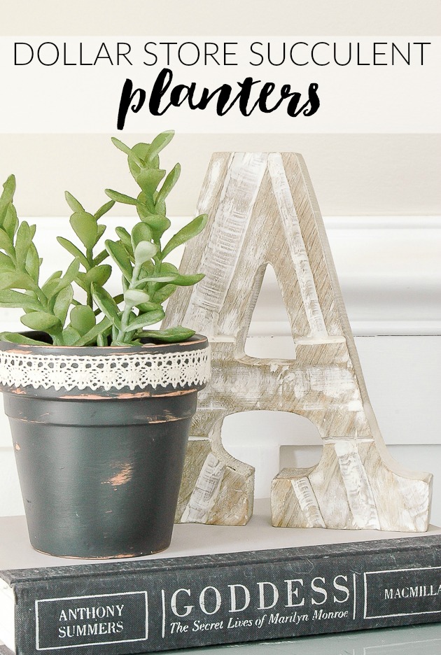 Quick and Affordable Dollar Tree Succulent Pots Little House of Four