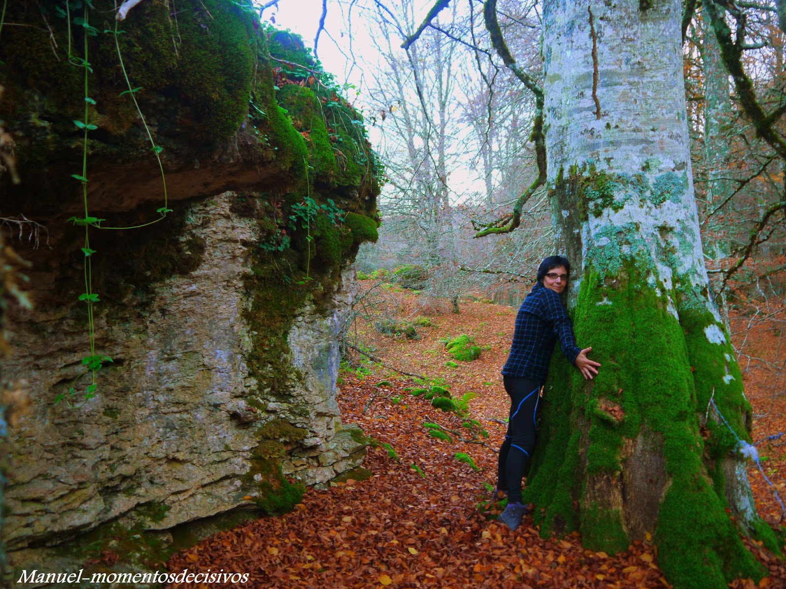 MOMENTOS DECISIVOS BOSQUE ENCANTADO DE ARTEA EN LARRAONA