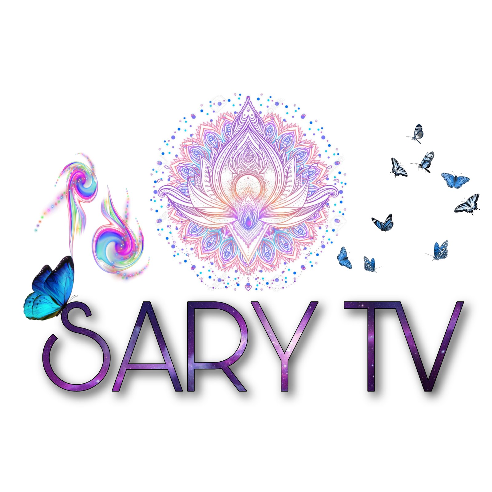 SARY TV 