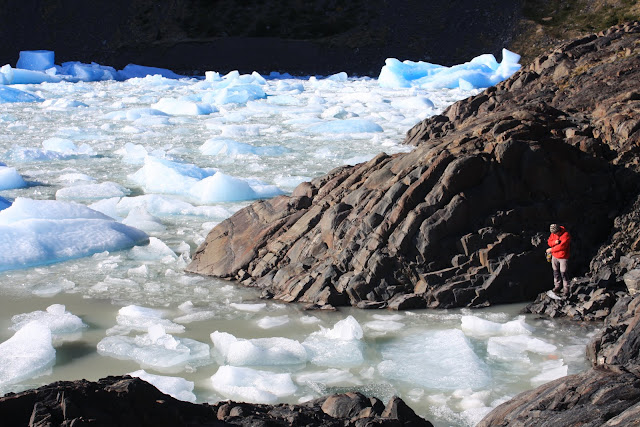 Tudo o que precisa saber para fazer o W, o melhor trek no Parque Nacional TORRES DEL PAINE | Chile