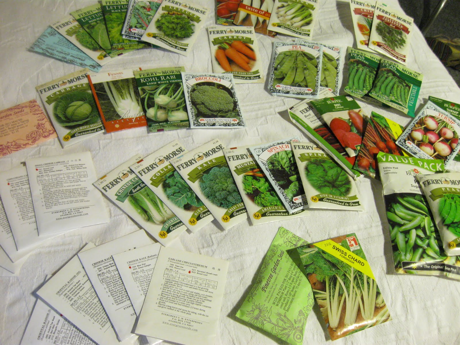 Kentucky Fried Garden Fall Vegetable Gardening