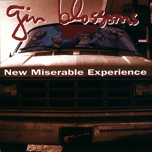 download new miserable experience gin blossoms rar download new miserable experience gin blossoms rar