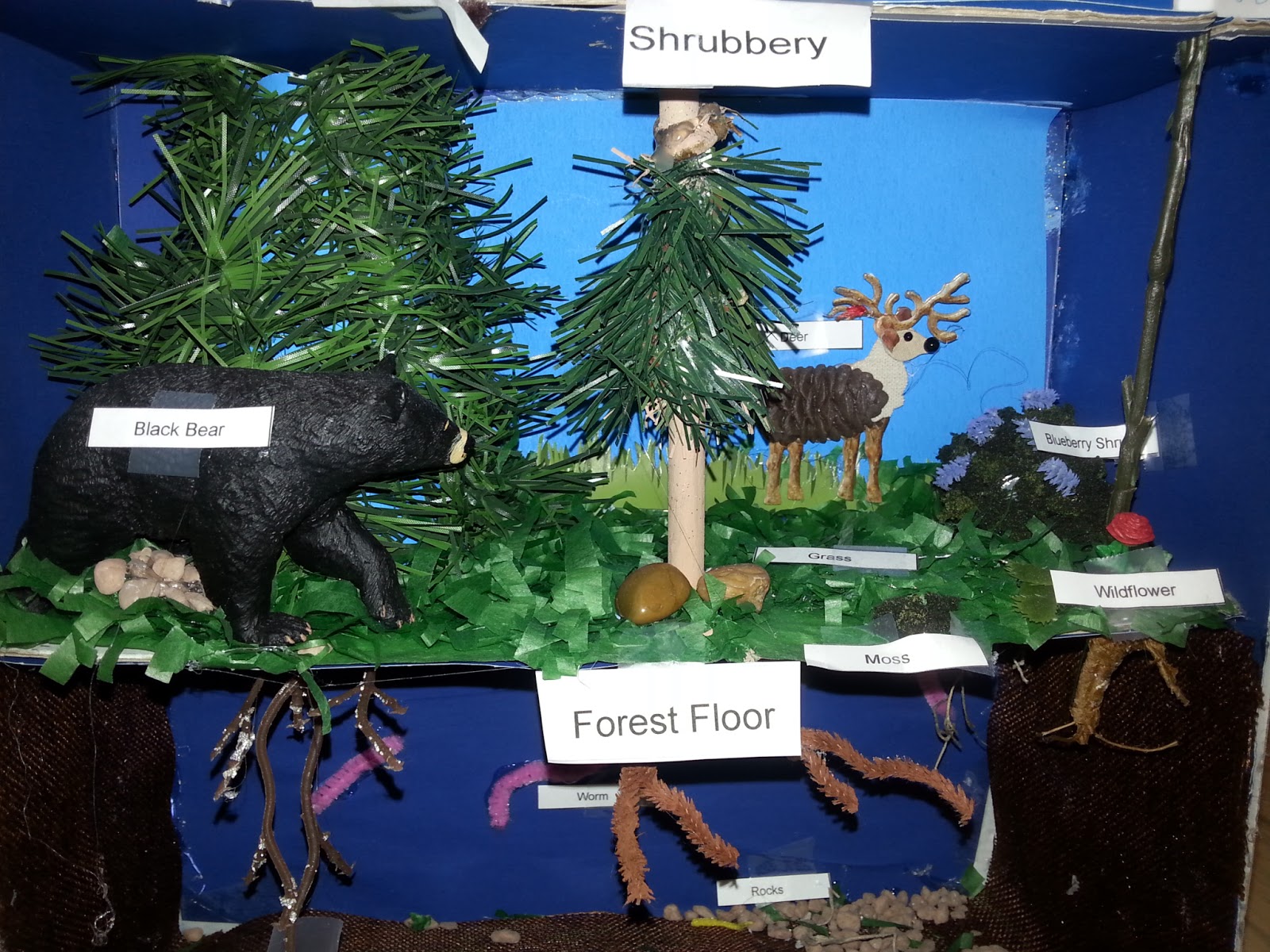 a faithful attempt Science Habitat Dioramas Forest Towers