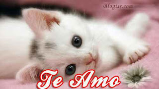 Imagenes de Amor Tiernas de Animales-Imagenes de amor Imagenes de Amor