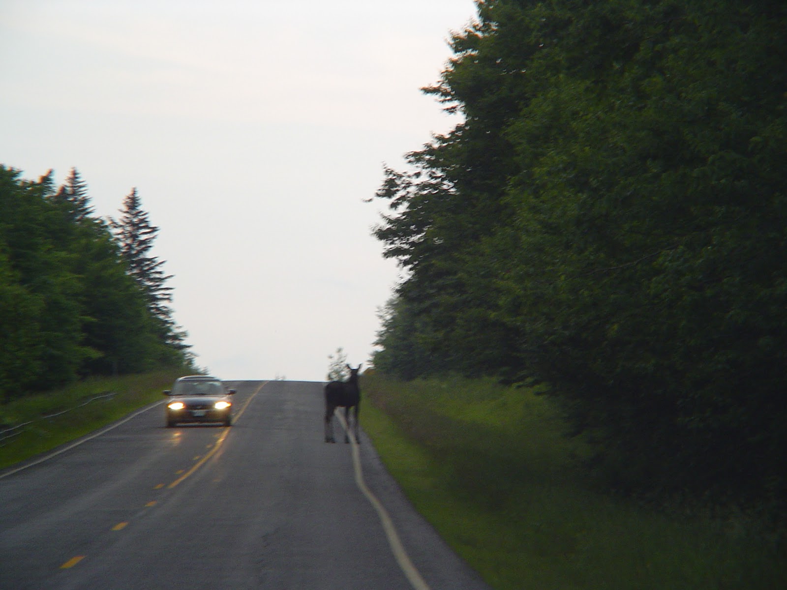 Fumbling the Fly Pittsburg, New Hampshire