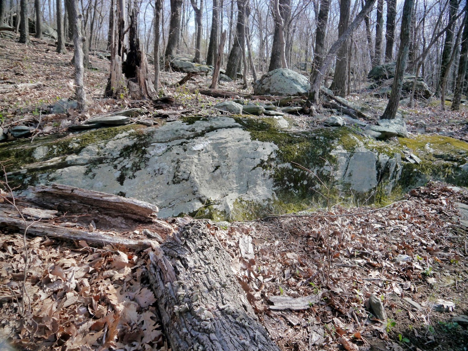 American Travel Journal Rockfish Gap to McCormick Gap Appalachian