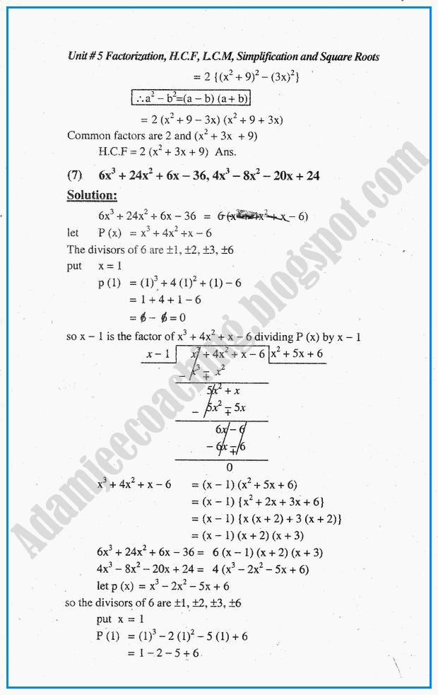 Hcf company essay 03 picture