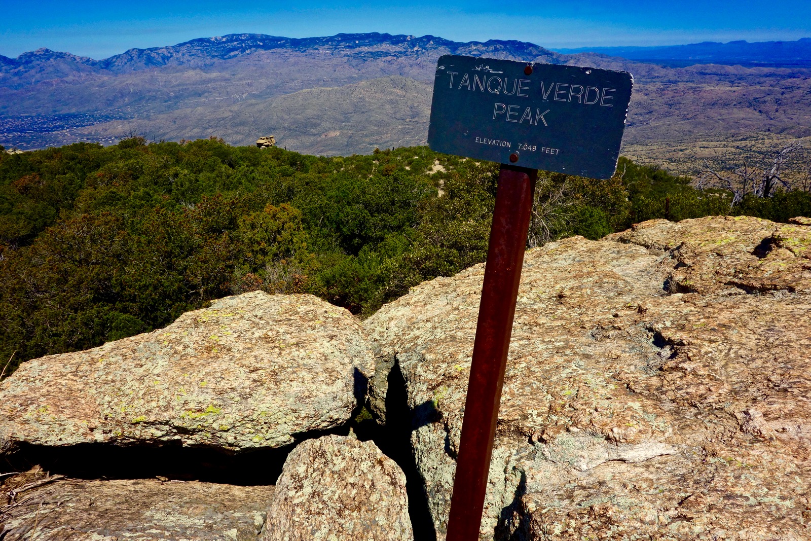 Earthline The American West Tanque Verde Peak, 7,049', Saguaro