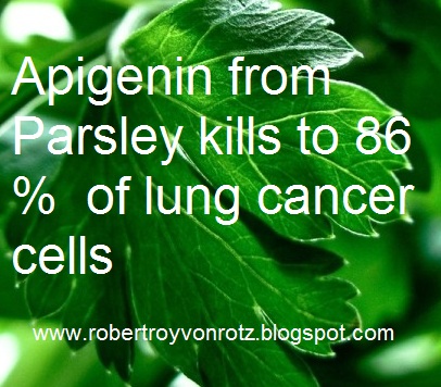 Alternative medicine cure lung cancer