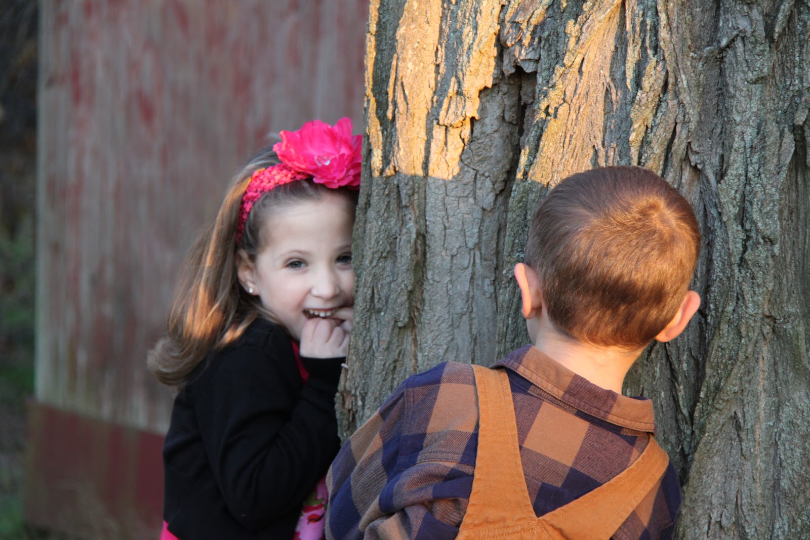 Match the Pictures Wordless Wednesday Hide & Go Seek