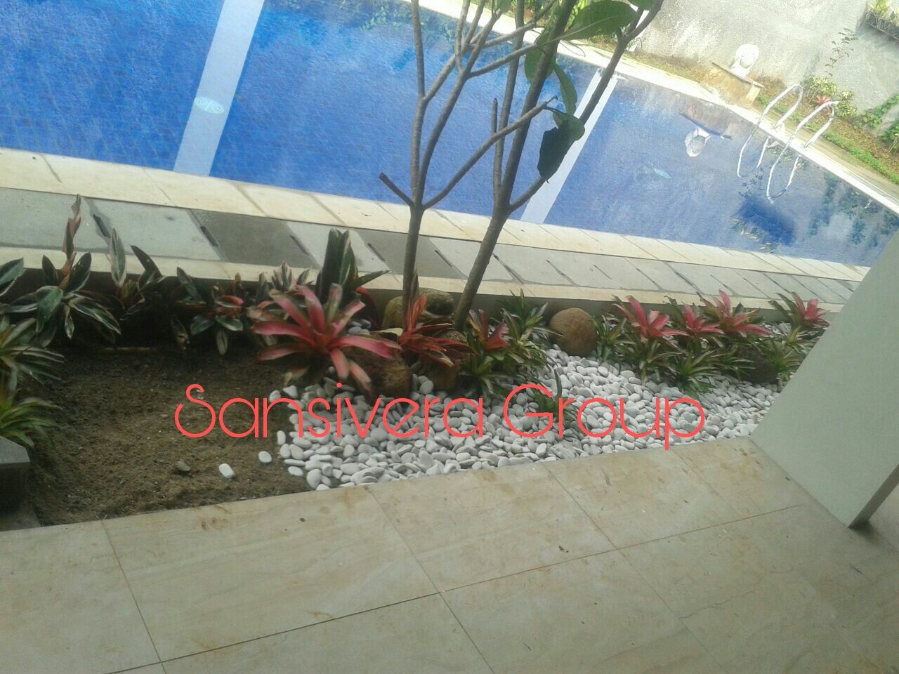 TUKANG TAMAN DI PASAR MINGGU Meliputi, pejaten barat ...