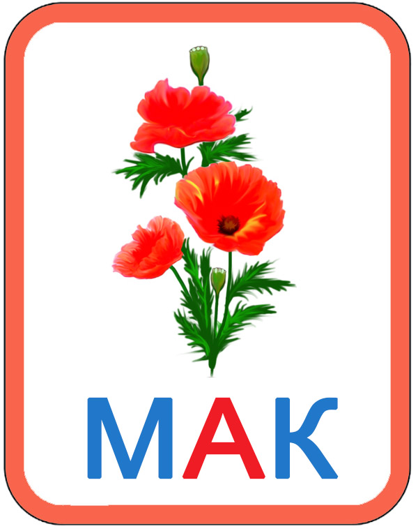 схема слова 1 класс. выкройки цветов мака. мак по схеме звуков. Papaver somniferum ботаническая иллюстрация. выкройка мака из ткани.