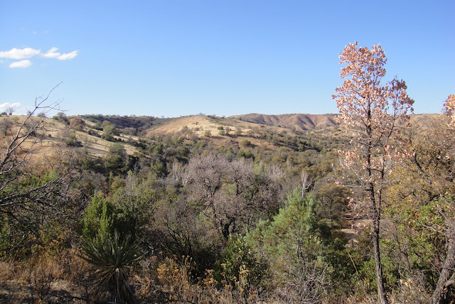 Gould's Turkey Hunt Photos in Mexico with Colburn and Scott Outfitters