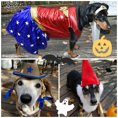 halloween dogs dressed up rescue adopt