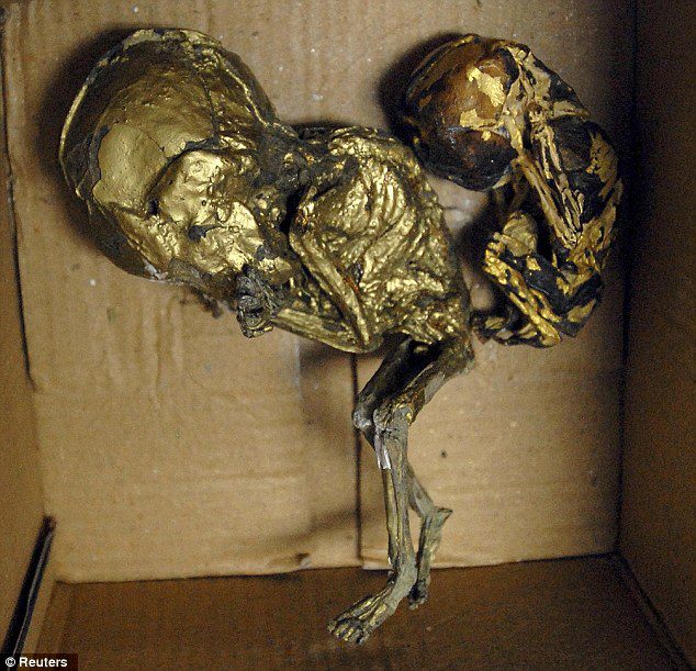 Unborn Fetuses Used For Black Magic