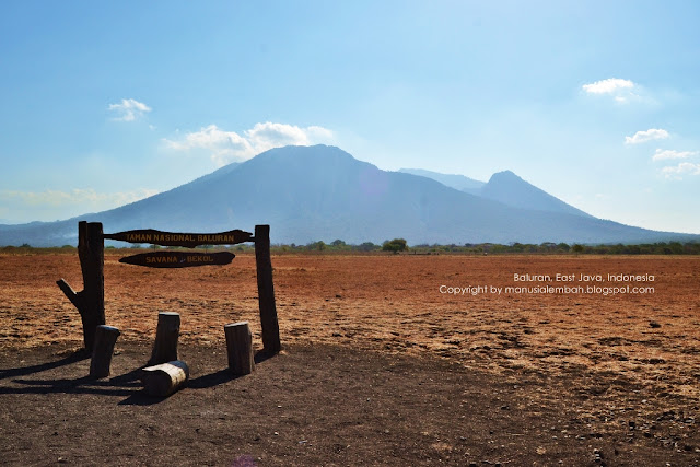 taman nasional baluran