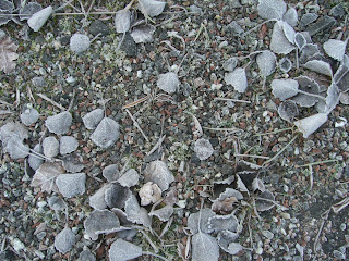 Frostig%2Bpromenad - Frostig promenad och fler tips hur man kan sätta igång en förlossning