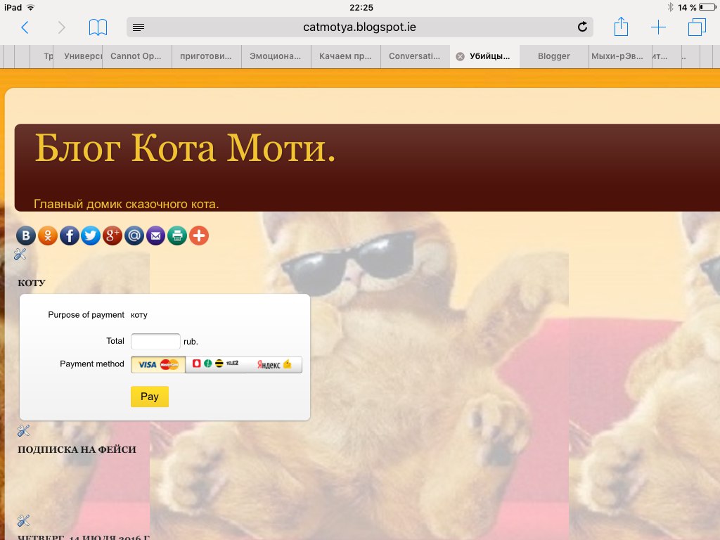 кот это мой блог. блог кота. блог кота моти. жж коте. жж коте.