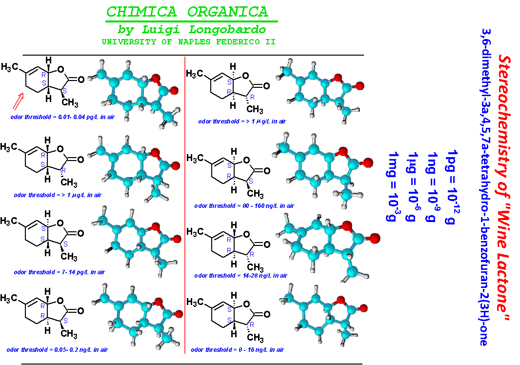 Chimica Organica