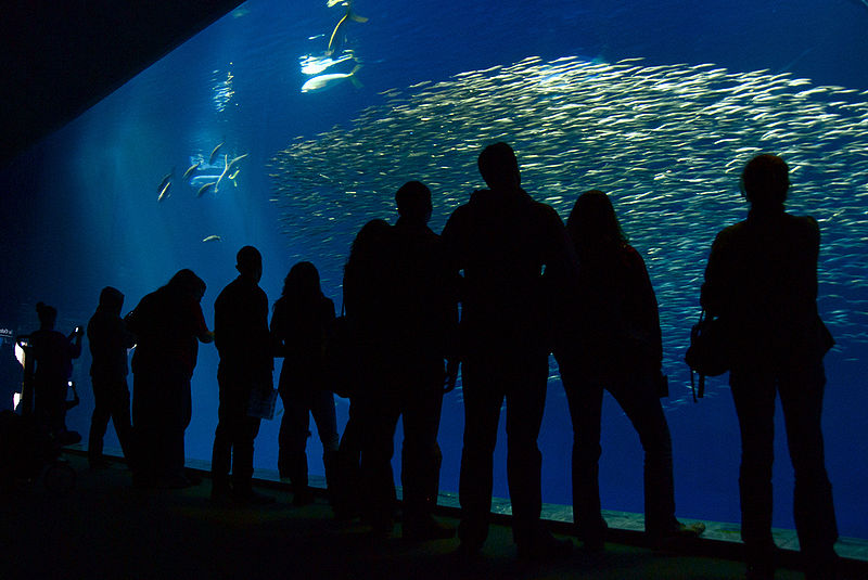 monterey s fisherman s