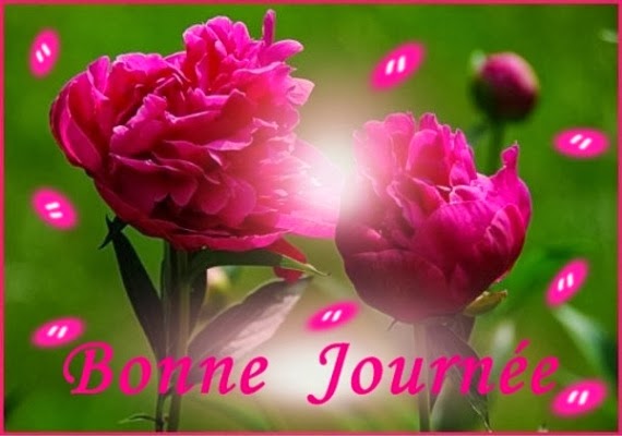 Afficher l�image source