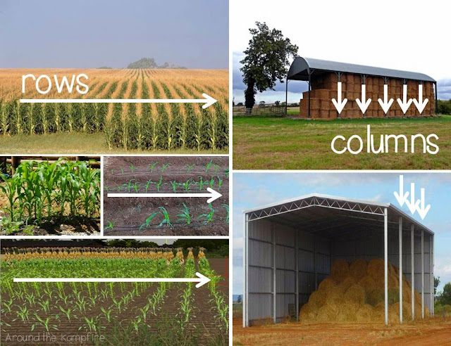 Lesson visual of rows and columns to build understanding of arrays and multiplication | Around the Kampfire