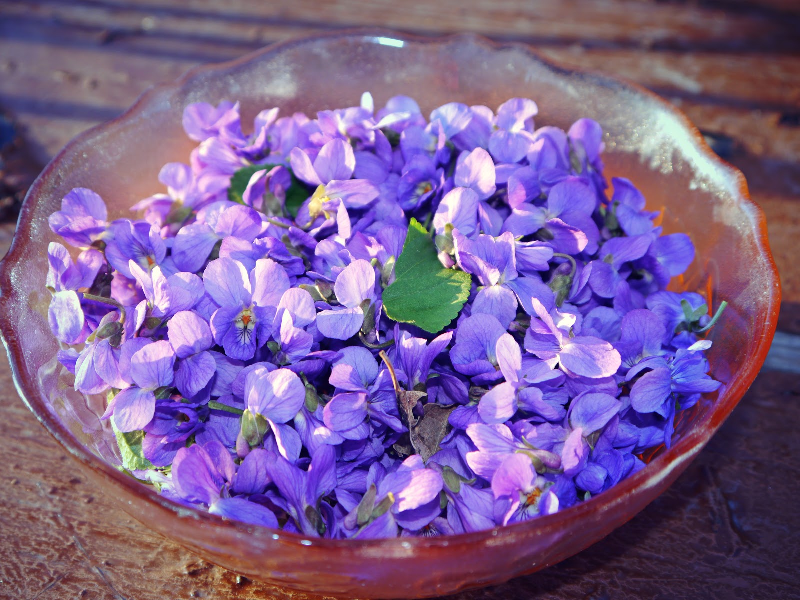 Suzy Homefaker Candied Violets