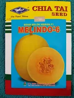 melon kuning, menanam melon, jual benih melon hibrida, lmga agro