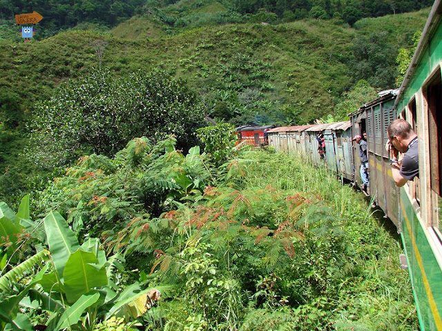 Madagascar: tren de la selva