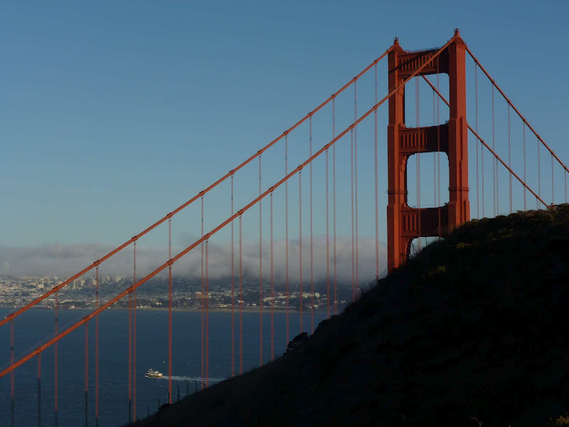 11: Muir Woods - Golden Gate - Driving me ... USA (20)